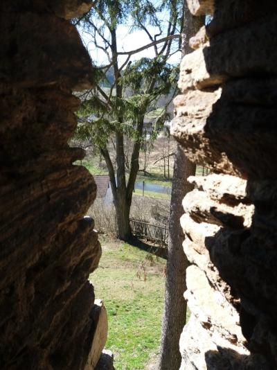 20190401_144939.jpg