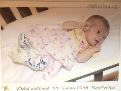 IMG_0838 (změněno).JPG