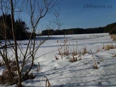 20190219_143948.jpg