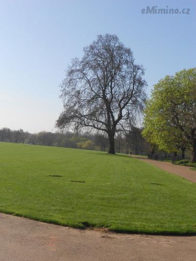 DSCN0709.JPG