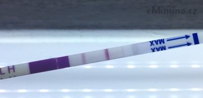 A3B2CB85-928E-432C-8126-D1352A88EA3A.jpeg