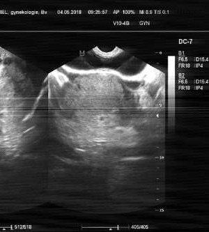 C76E631E-B995-49AF-A93B-02A39457B005.jpeg