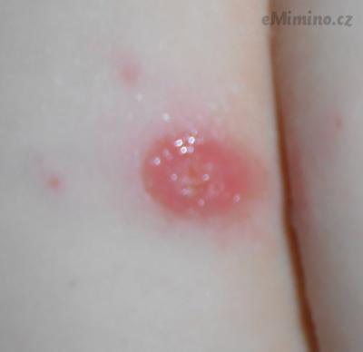 DSCN6793.JPG