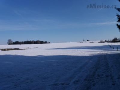 20190219_144905.jpg