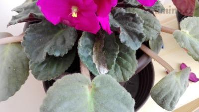 IMG_20180428_101645.jpg