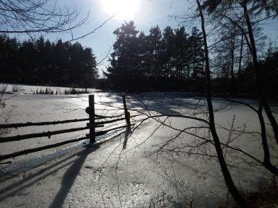 20190219_144500.jpg