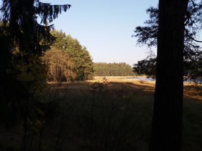 20181017_152452.jpg