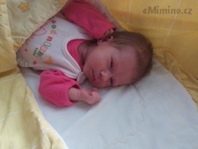 2017-12-24 12.28.20.jpg