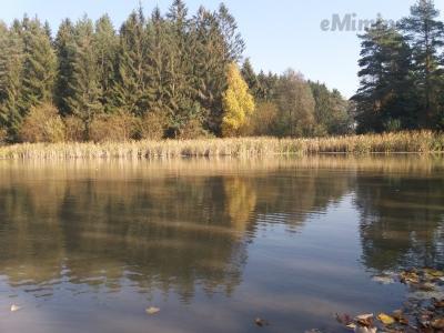 20181017_130053.jpg