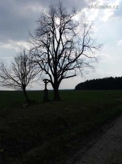 20190409_141927.jpg