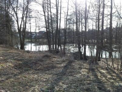20190306_145235.jpg