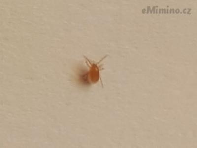 20180224_153406.jpg
