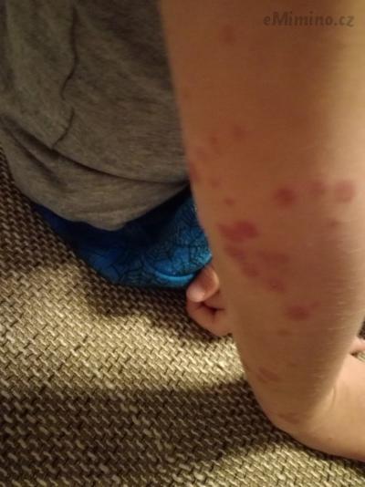 IMG_20181127_191219.jpg