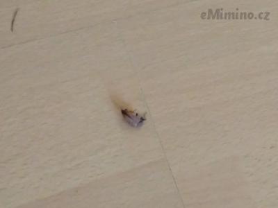 IMG_20180620_165716.jpg