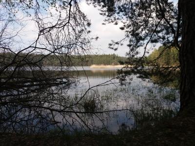 20190424_144518.jpg