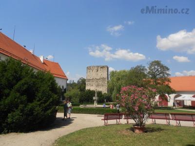 DSCN1099.JPG