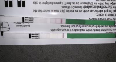 FB1EBD77-CD26-41D0-8AB1-771153ADF614.jpeg