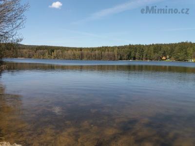 20190425_145910.jpg