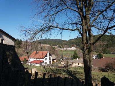 20190401_150654.jpg