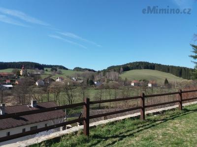 20190401_145229.jpg