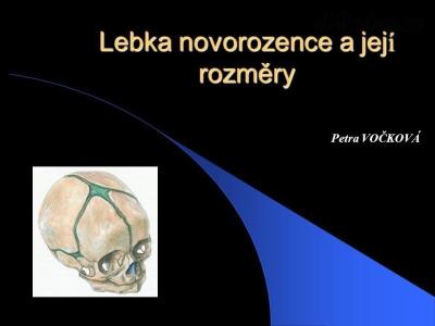 Lebka+novorozence+a+její+rozměry.jpg