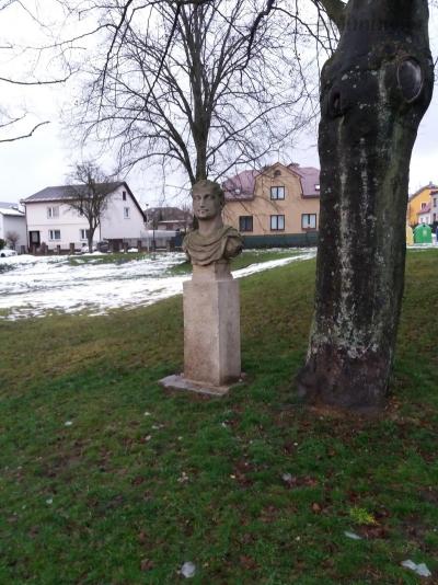 20181223_080614.jpg