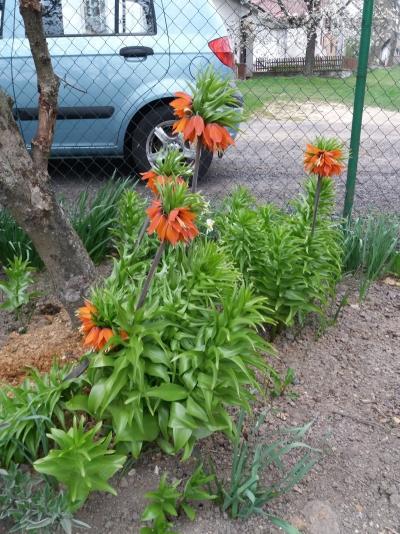 20190423_143632.jpg