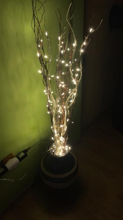 16C0DF5E-D24B-4106-BBDA-E29FC7511D54.jpeg
