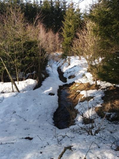 20190219_142402.jpg