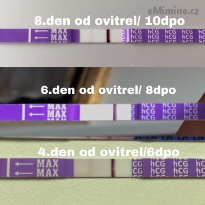 425086CB-378F-4F94-BE53-664030B94E22.jpeg