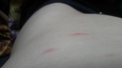 20190120_100710.jpg