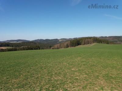 20190401_153734.jpg