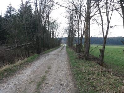20190409_141239.jpg