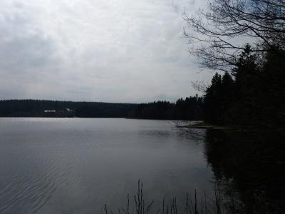 20190411_142749.jpg