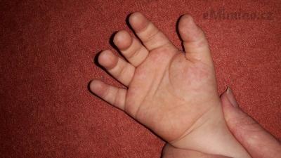 20180320_135429[1].jpg
