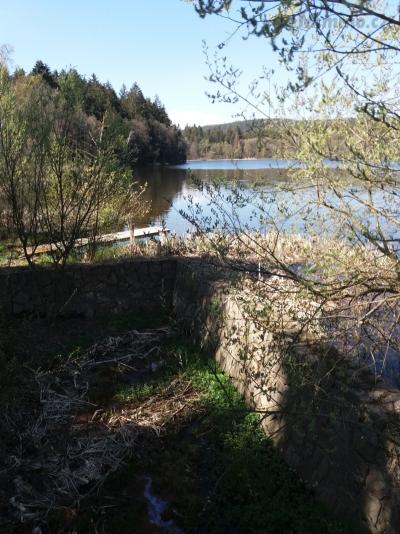 20190425_144810.jpg