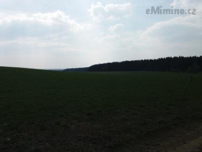20190409_141556.jpg