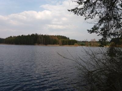 20190409_160239.jpg