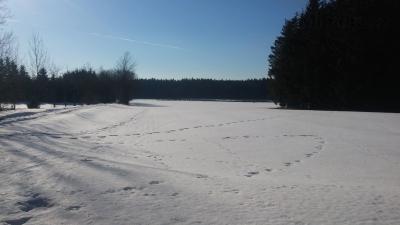 20190214_141205.jpg