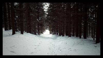 20190120_140844-01.jpeg