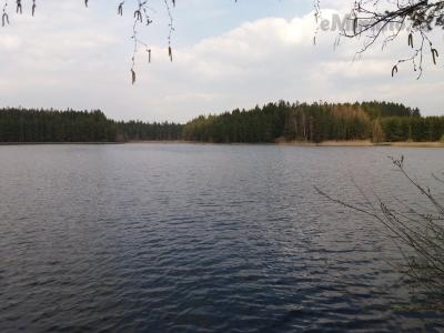 20190409_160226.jpg