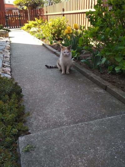 received_314783202538838.jpeg