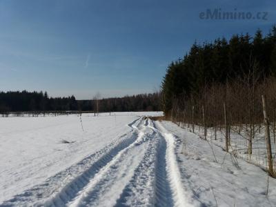 20190219_142709.jpg