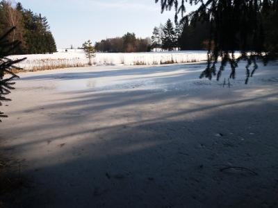 20190219_144352.jpg