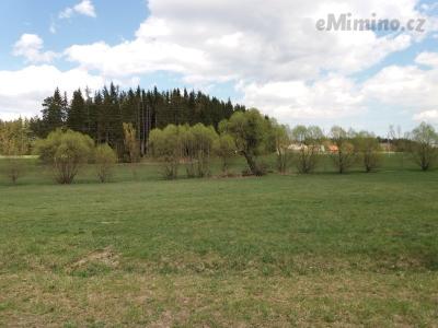 20190422_144957.jpg