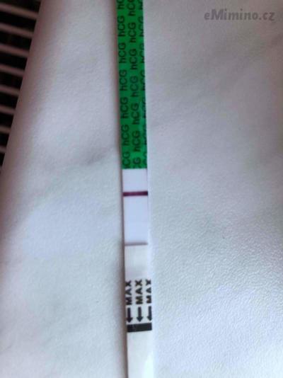 received_1724531917674348.jpeg