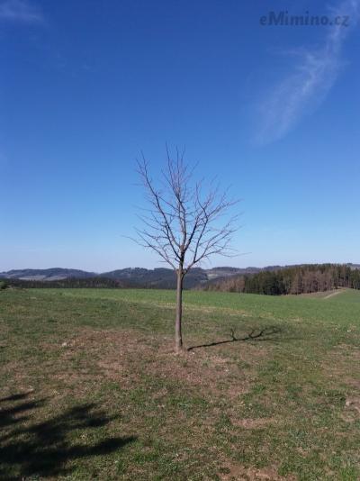 20190401_153708.jpg