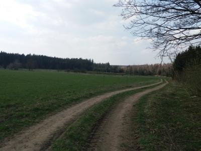 20190409_141613.jpg