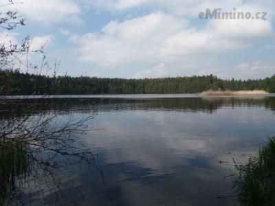 20190424_144548.jpg