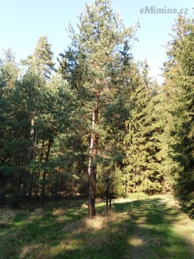 20181017_132701.jpg